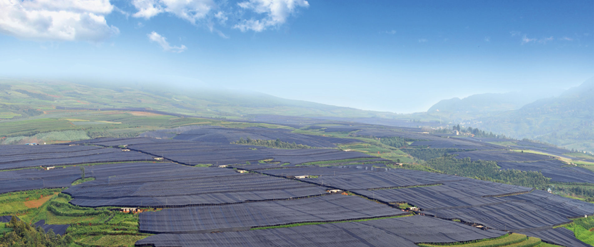 最專(zhuān)業(yè)的品牌服務(wù)，為您創(chuàng)作更高的價(jià)值